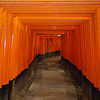 image taken from Inari Fushimi Taisho in Kyoto, Japan