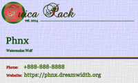 Suica Business Card - Phnx